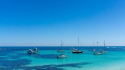 Rottnest Island, short trips from perth, Perth Weekend Trips, Quokkas
