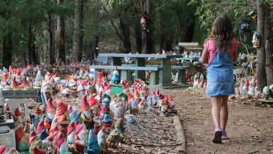 kid walking through Gnomesville in Ferguson Valley