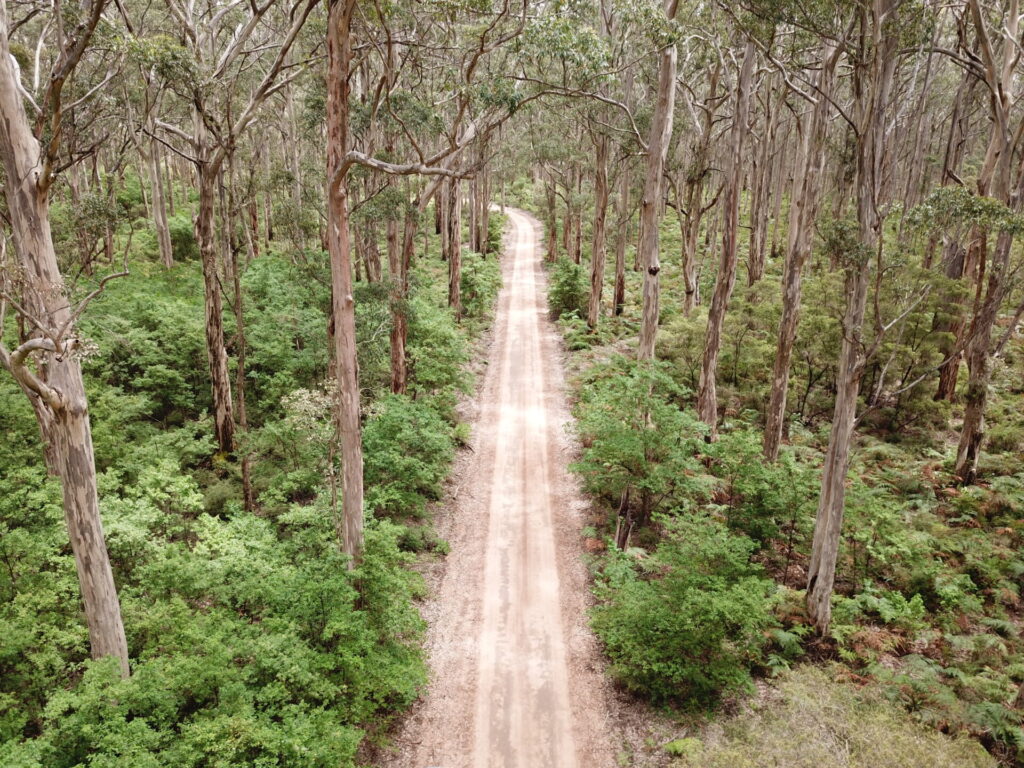A path in Boranup Forest