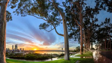 sunset in beautiful park in perth