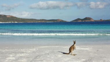 lucky bay in western australia, great ocean drive in esperane