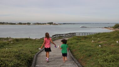 Best Places to Visit in Western Australia Penguin Island