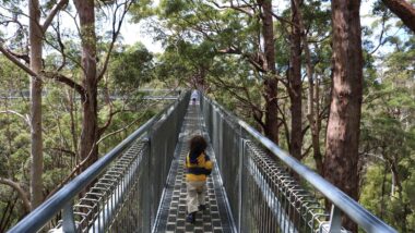 kid crossing a bridge in a forest