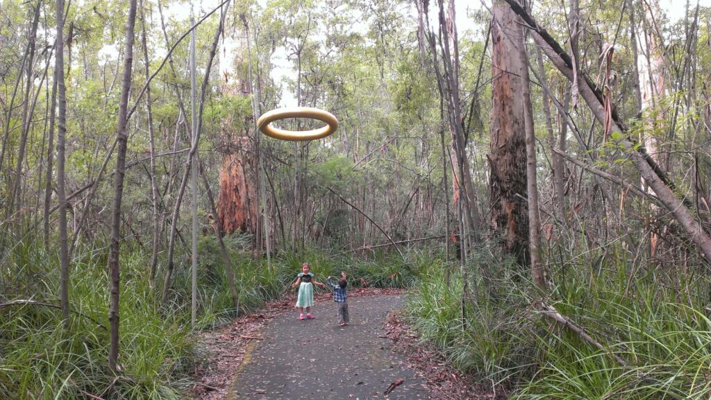 Swarbrick Art Loop, Walpole WA