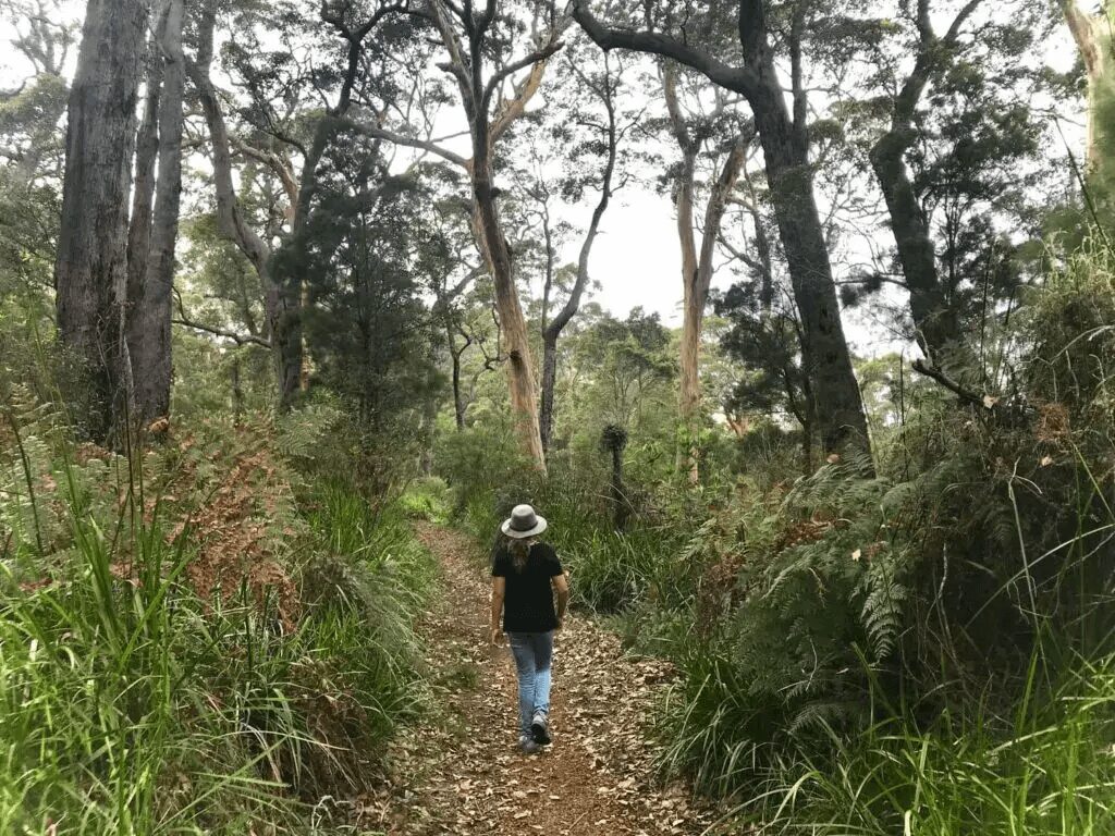 nature in walpole western australia