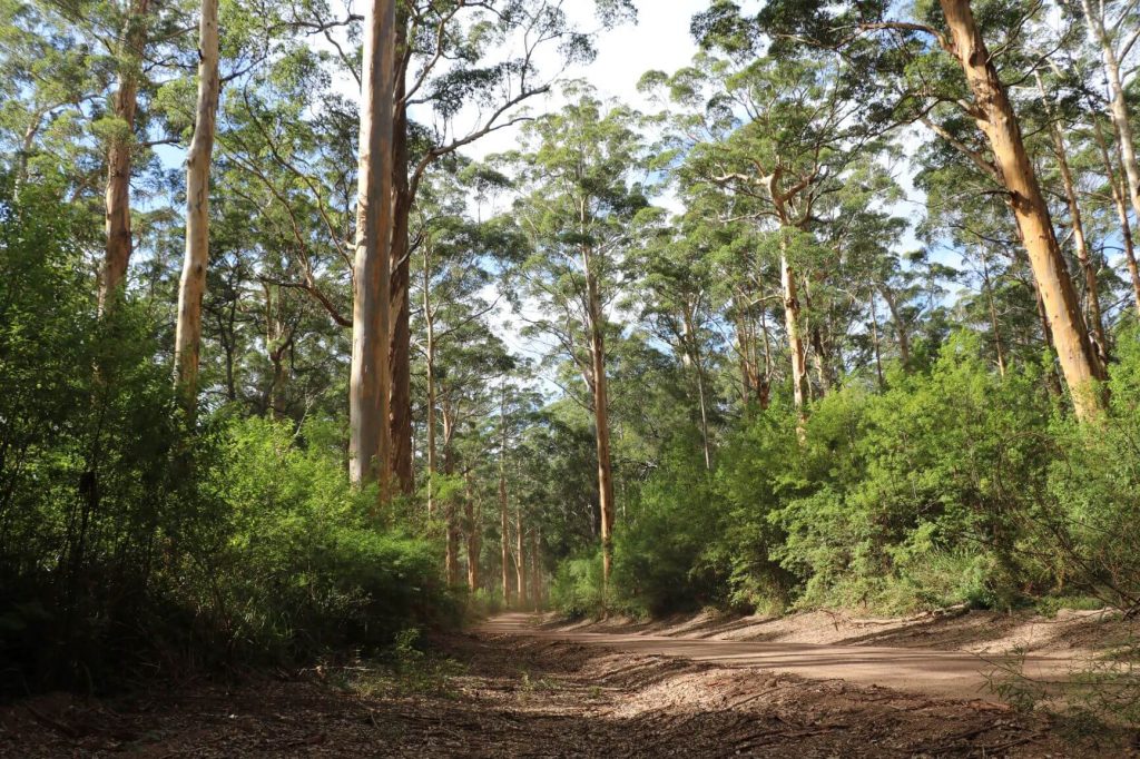 Walpole Mt. Frankland National Park