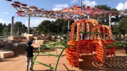 wellington square in perth, things to do with kids