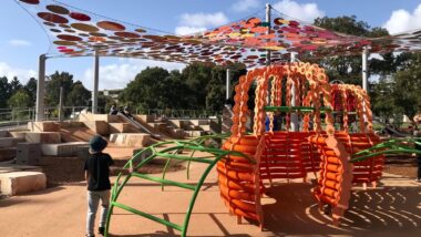 wellington square in perth, things to do with kids