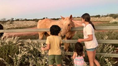 kids feeding farm animals in australia