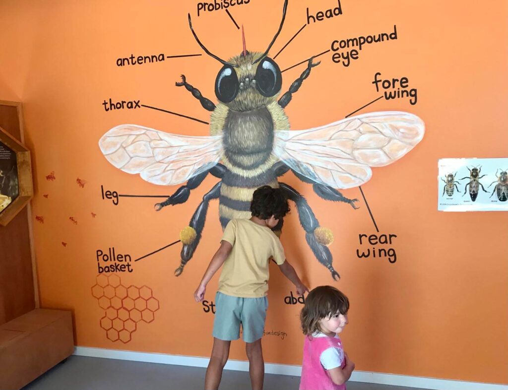 horse back riding Margaret River Kids standing in front of a drawing of an insect