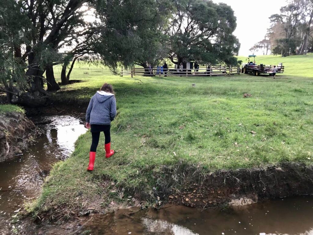 outside area of farmstays in margaret river