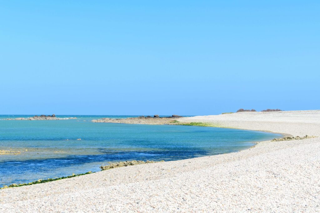 the incredible shell beach which is one of the best beaches in Western Australia