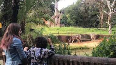 zoo in perth, things to do in winter