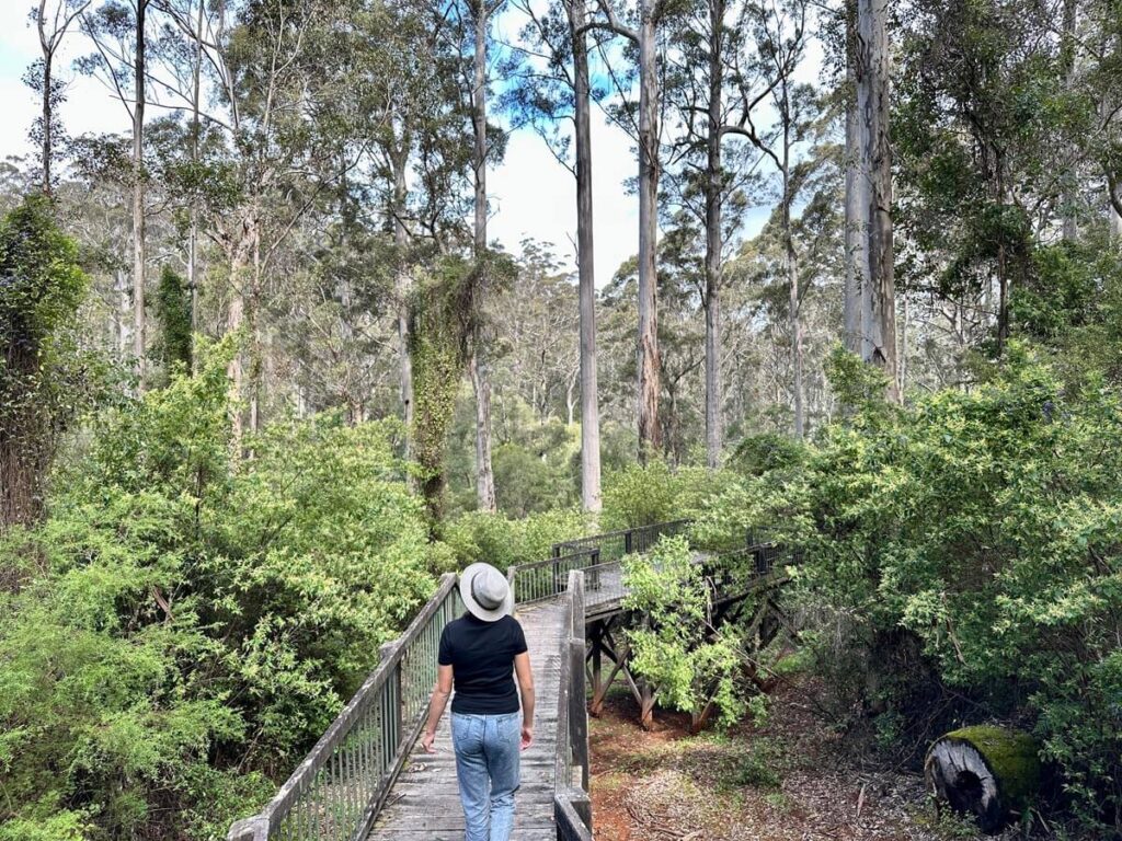 Exploring a bushwalk around Pemberton with kids