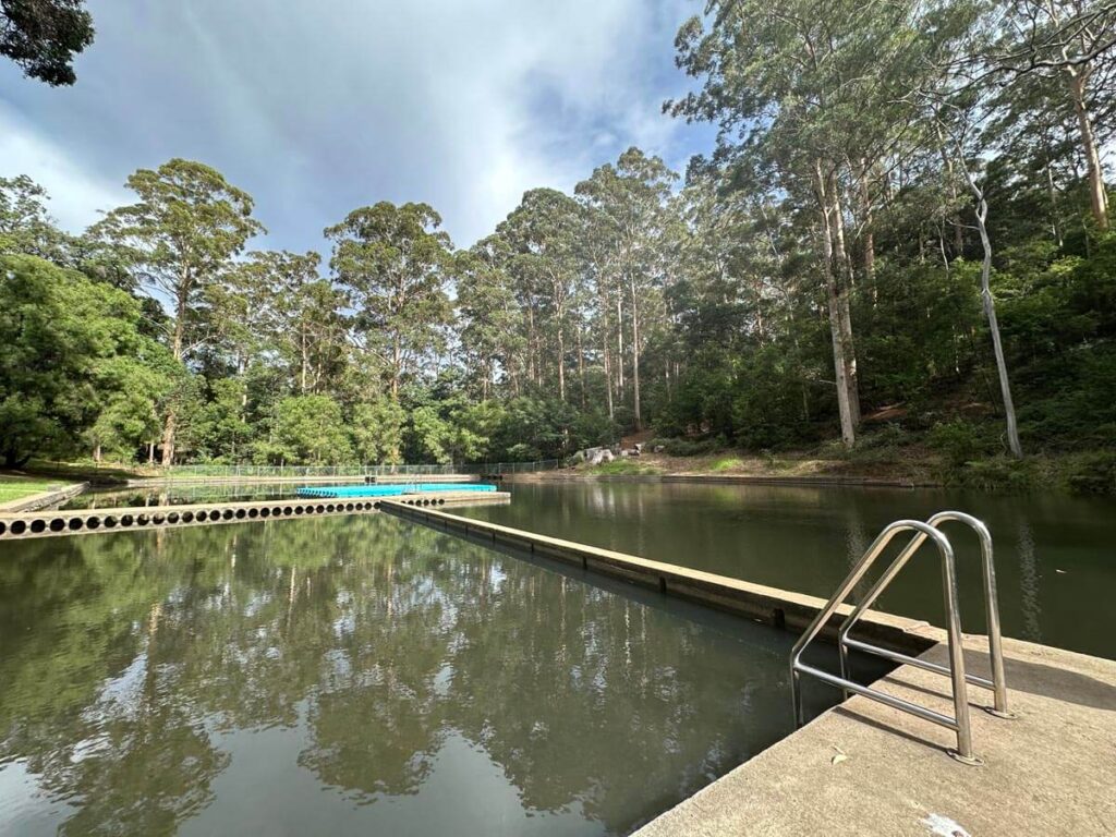 A Donnelly River cruise with a backdrop of the beautiful Karri Forest