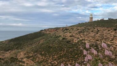 views of Cape Range National Park Western Australia