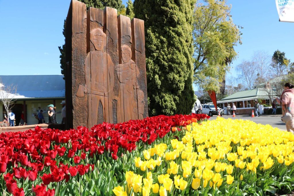 Tulips in Nannup