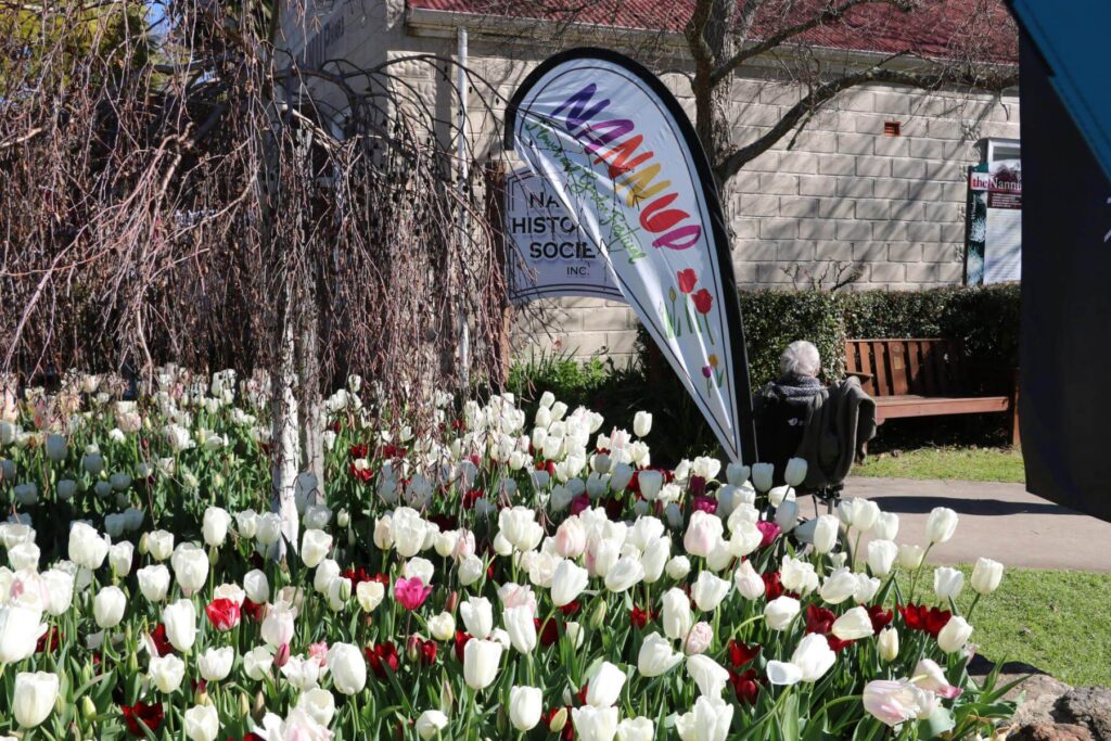 Nannup Historical society and tulips